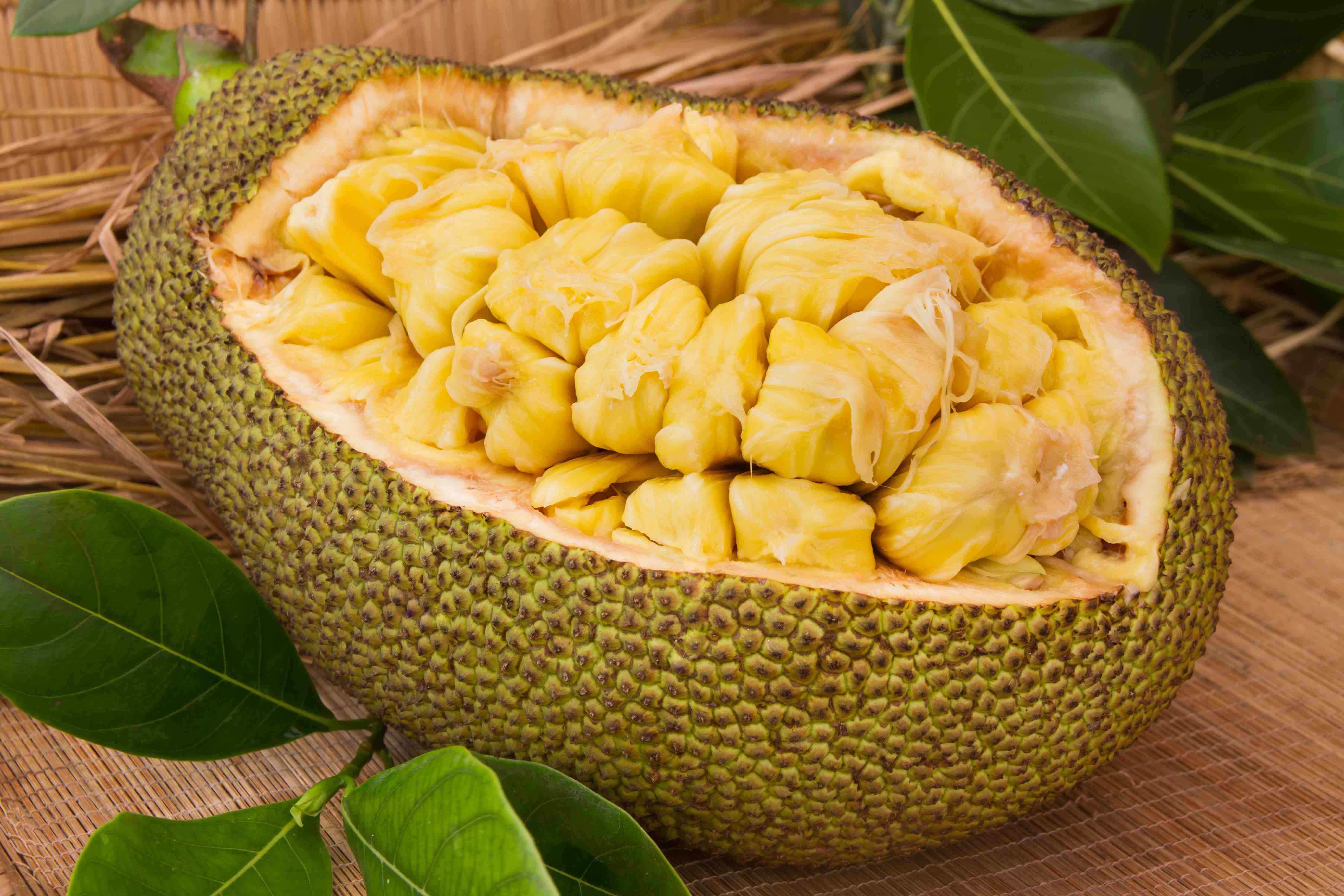 jackfruit image