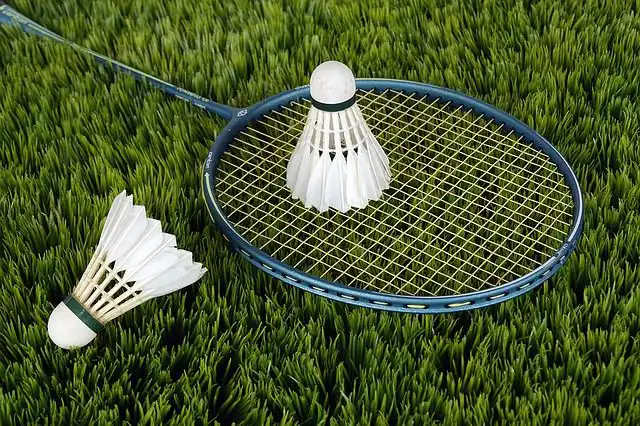 badminton image